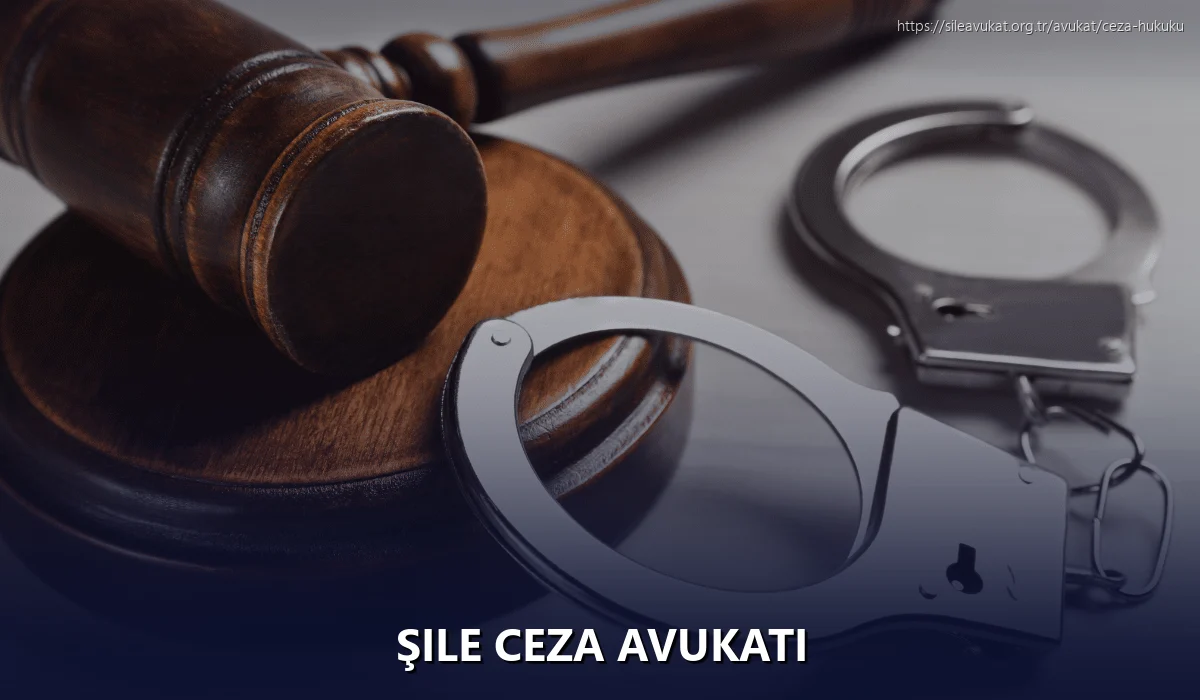 Şile Ceza Avukatı